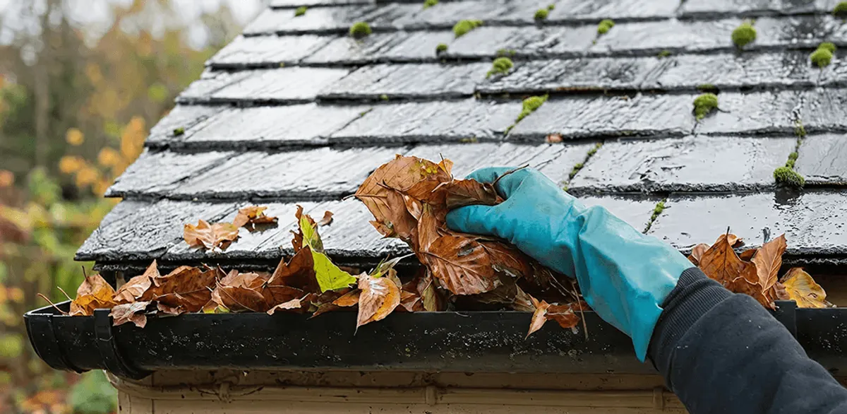 Gutter cleaning technician clearing wet leaves from roof gutters in El Paso, TX